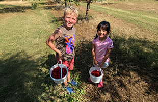 Plenty of Activities in Bailey's Harbor
