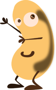 yellow bean